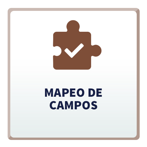 Mapeo de Campos