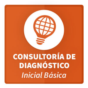Consultoria de Diagnóstico Inicial Basica para Transformación Digital
