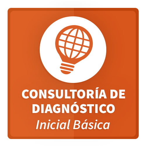 Consultoria de Diagnóstico Inicial Basica para Transformación Digital