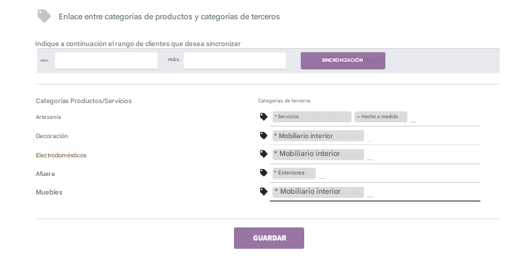 Módulo de Categorización Automática de Clientes de TecnoERP